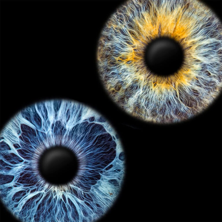 Iris photography by EYEPIXX: Double photo blue